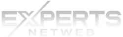 logo experts netweb